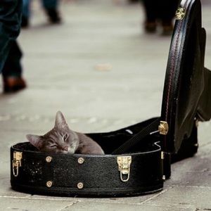 Lazy Monday, time for some retail therapy.